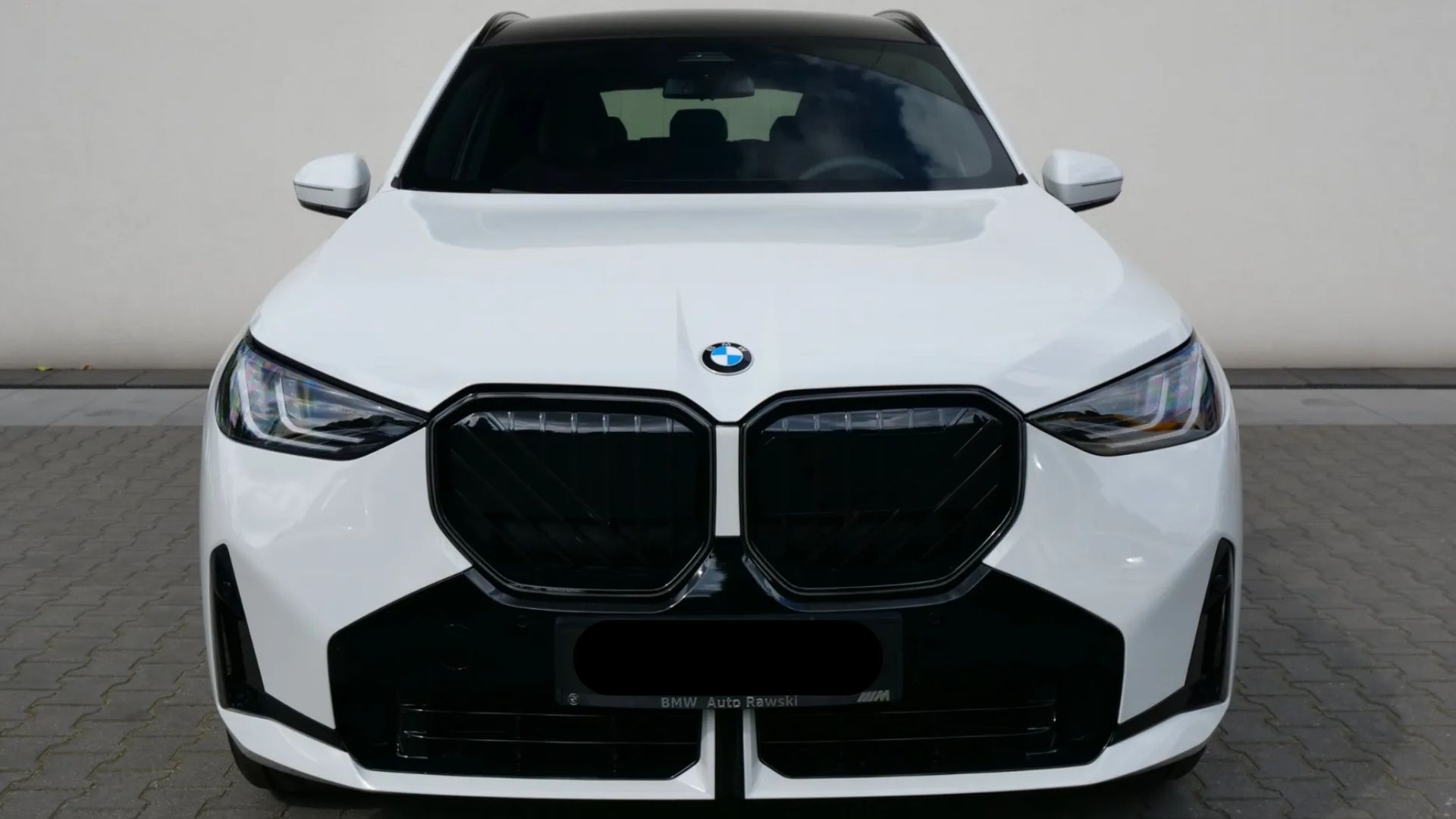 
								BMW X3 20d xDrive full									